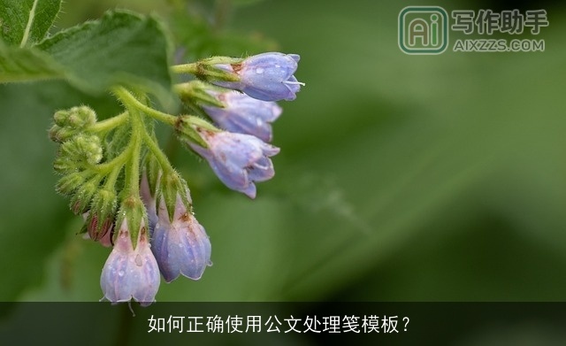 如何正确使用公文处理笺模板？