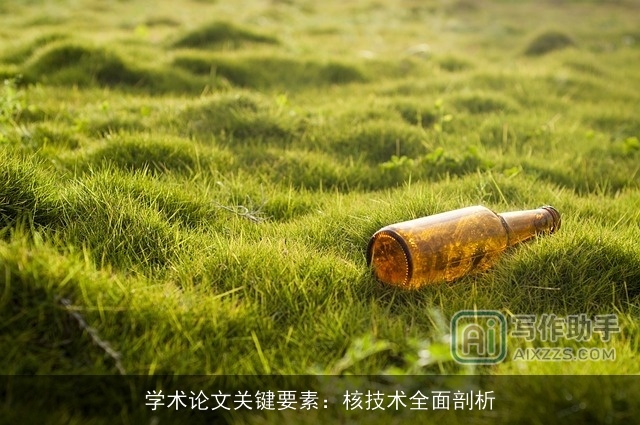 学术论文关键要素：核技术全面剖析