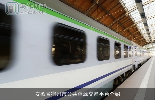安徽省宿州市公共资源交易平台介绍