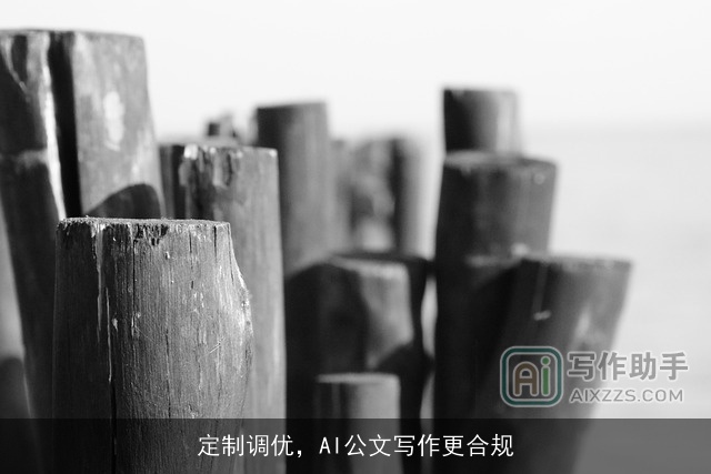 定制调优，AI公文写作更合规
