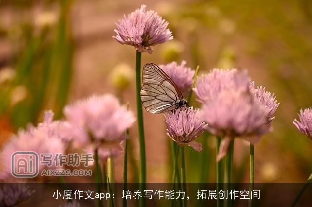 小度作文app：培养写作能力，拓展创作空间