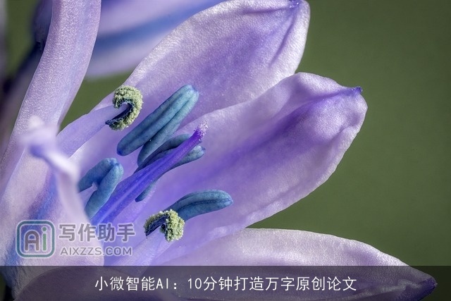 小微智能AI：10分钟打造万字原创论文