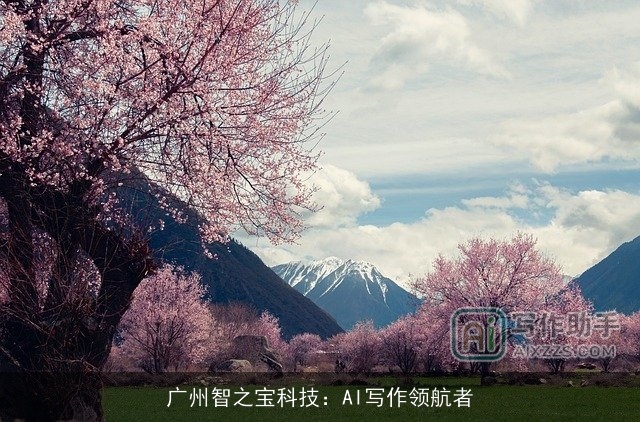 广州智之宝科技：AI写作领航者