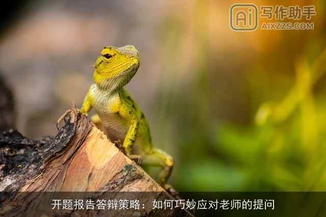 开题报告答辩策略：如何巧妙应对老师的提问