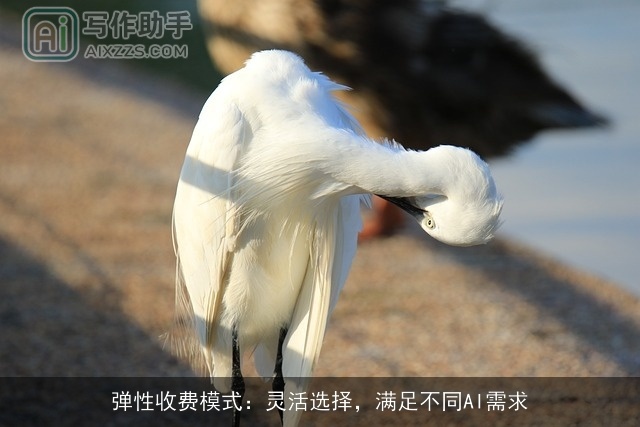 弹性收费模式：灵活选择，满足不同AI需求