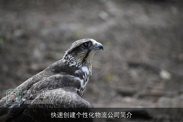 快速创建个性化物流公司简介