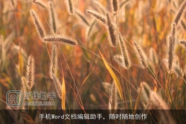 手机Word文档编辑助手，随时随地创作