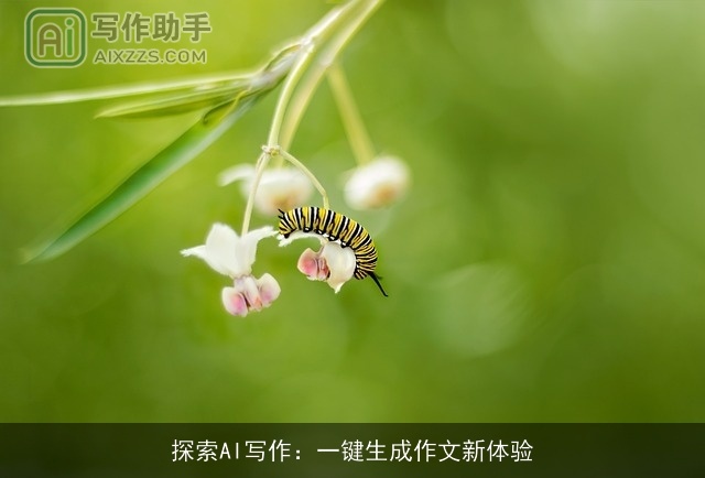 探索AI写作：一键生成作文新体验