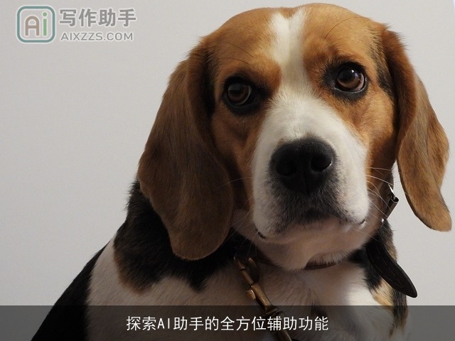 探索AI助手的全方位辅助功能