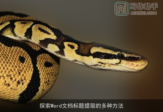 探索Word文档标题提取的多种方法