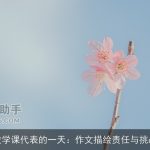 数学课代表的一天：作文描绘责任与挑战