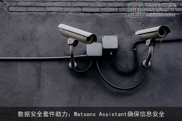 数据安全套件助力：Watsonx Assistant确保信息安全