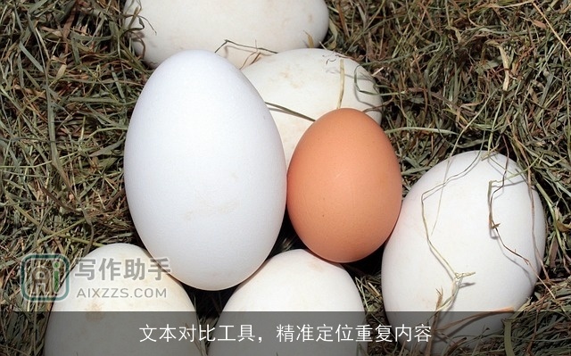 文本对比工具，精准定位重复内容