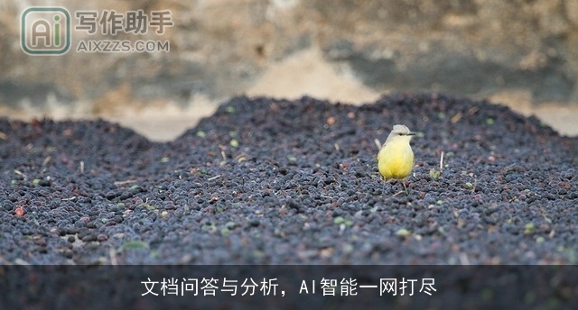 文档问答与分析，AI智能一网打尽