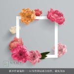 新手作者福利AI写作网站助力创作，避免淘汰