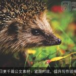 日更千篇公文素材：紧跟时效，提升写作效率