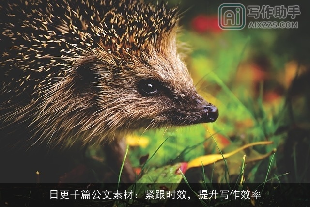 日更千篇公文素材：紧跟时效，提升写作效率