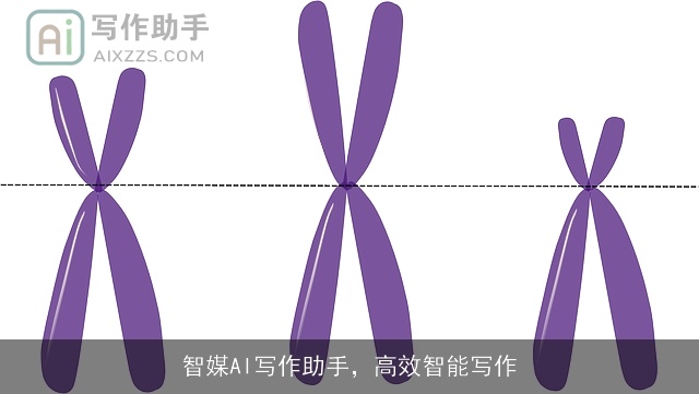 智媒AI写作助手，高效智能写作