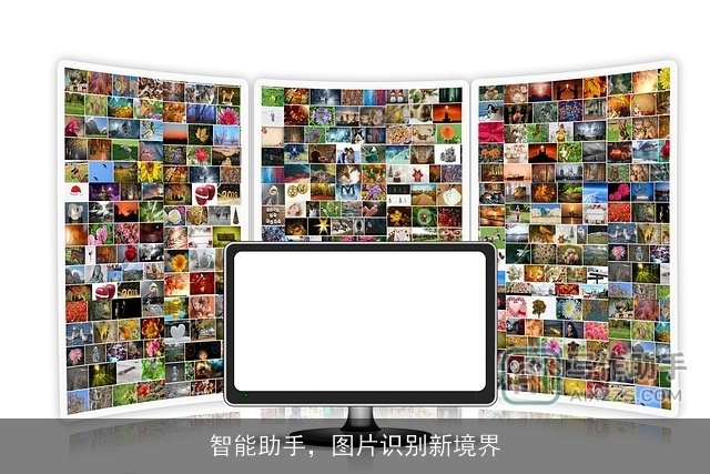 智能助手，图片识别新境界