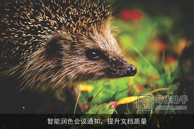 智能润色会议通知，提升文档质量