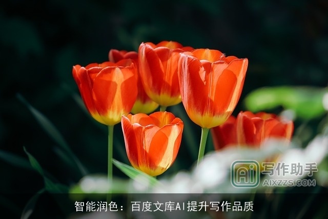 智能润色：百度文库AI提升写作品质