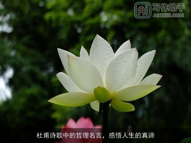 杜甫诗歌中的哲理名言，感悟人生的真谛