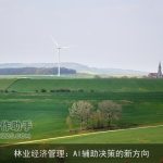 林业经济管理：AI辅助决策的新方向