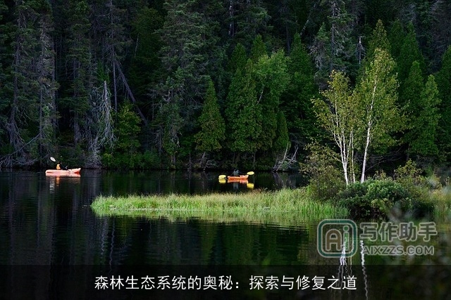 森林生态系统的奥秘：探索与修复之道