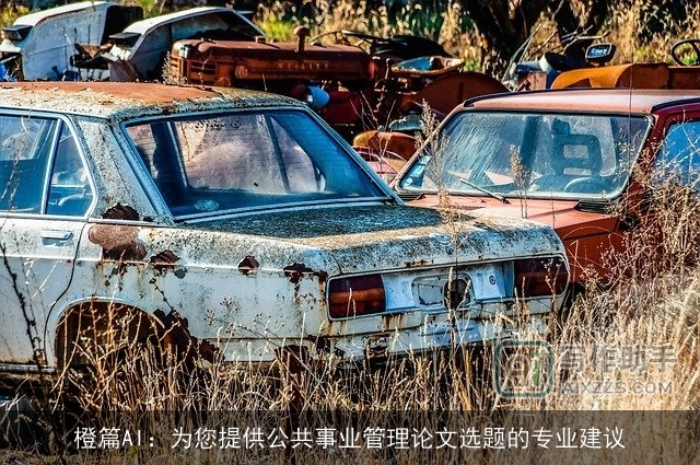 橙篇AI：为您提供公共事业管理论文选题的专业建议