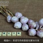 橙篇AI：英语写作的智能化解决方案