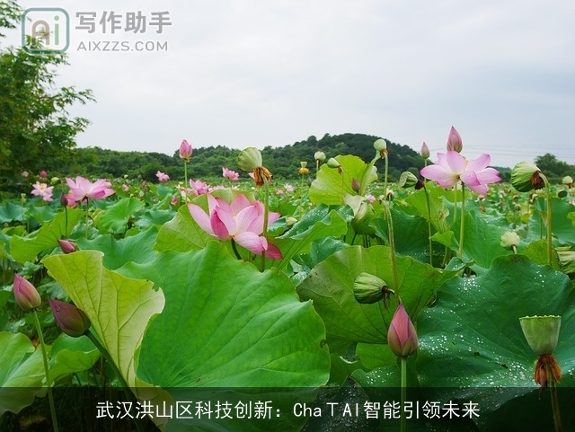 武汉洪山区科技创新：ChaΤAI智能引领未来