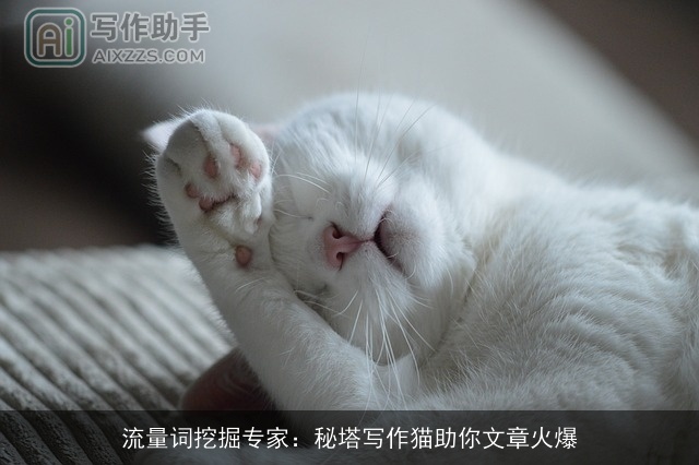 流量词挖掘专家：秘塔写作猫助你文章火爆