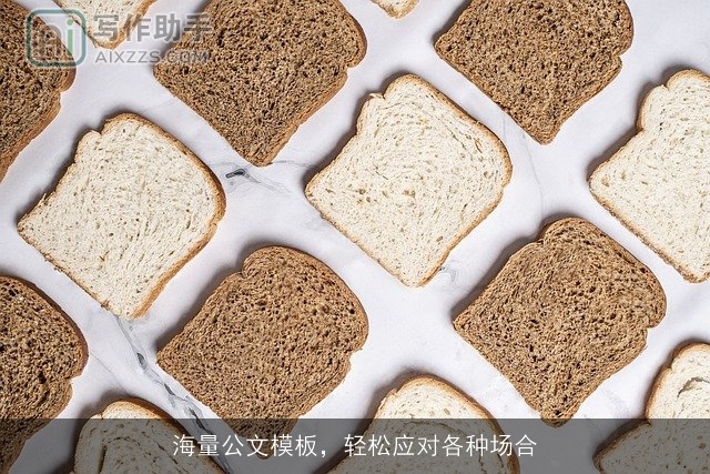 海量公文模板，轻松应对各种场合
