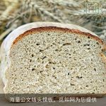 海量公文版头模板，觅知网为您提供