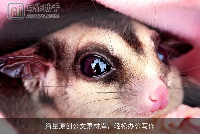 海量原创公文素材库，轻松办公写作