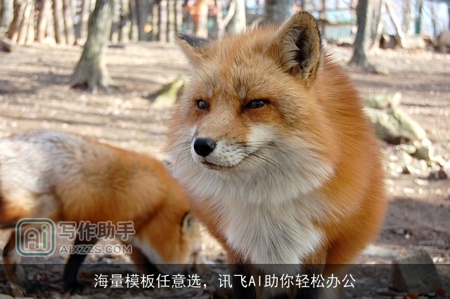 海量模板任意选，讯飞AI助你轻松办公