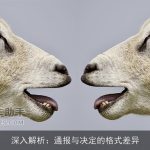 深入解析：通报与决定的格式差异