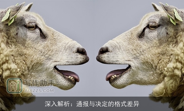 深入解析：通报与决定的格式差异
