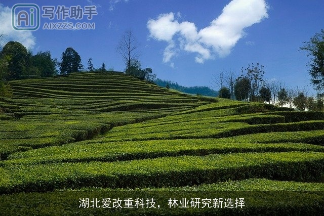 湖北爱改重科技，林业研究新选择