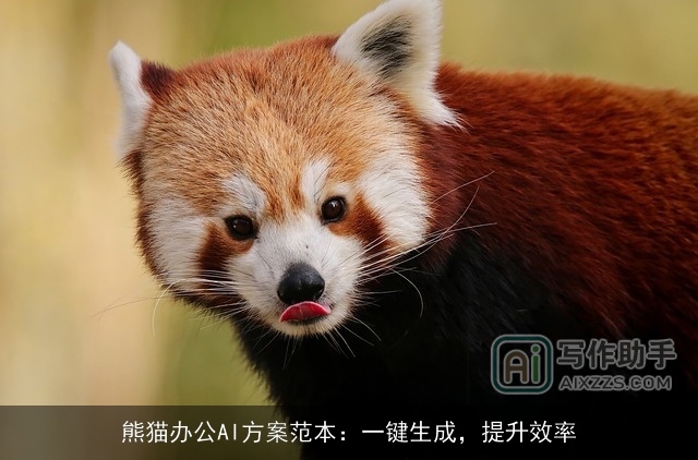 熊猫办公AI方案范本：一键生成，提升效率