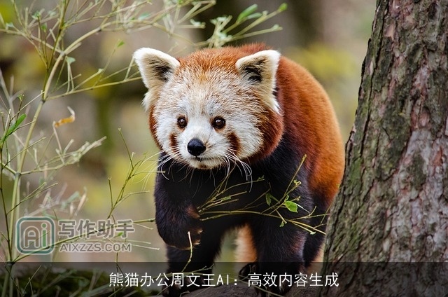 熊猫办公周文王AI：高效内容生成