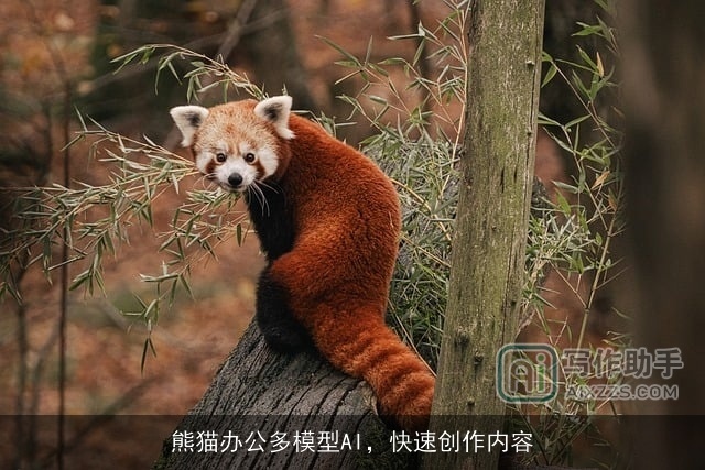 熊猫办公多模型AI，快速创作内容