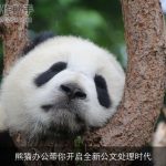 熊猫办公带你开启全新公文处理时代