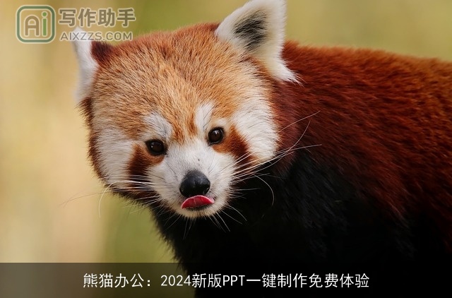 熊猫办公：2024新版PPT一键制作免费体验