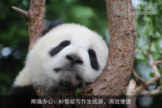 熊猫办公：AI智能写作生成器，高效便捷