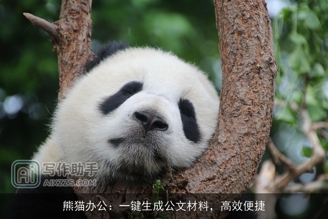 熊猫办公：一键生成公文材料，高效便捷