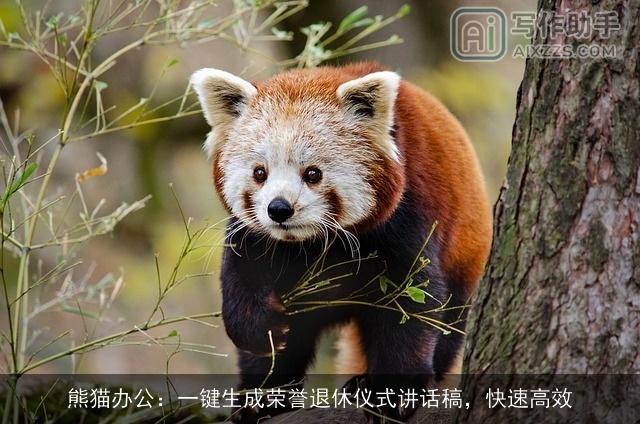 熊猫办公：一键生成荣誉退休仪式讲话稿，快速高效