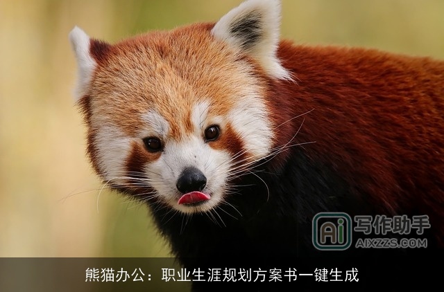 熊猫办公：职业生涯规划方案书一键生成