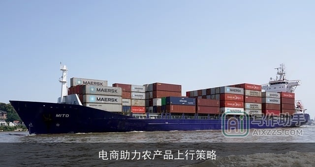 电商助力农产品上行策略