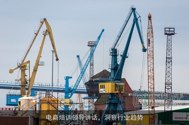 电商培训领导讲话，洞察行业趋势